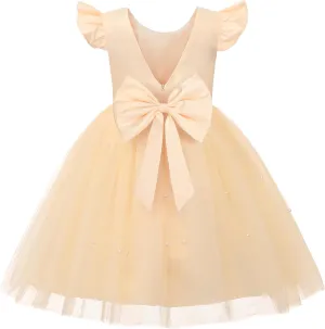 JerrisApparel Girls Princess Party Dress Kids Satin V-Back Tulle Skirt Pageant Wedding Ball Gowns
